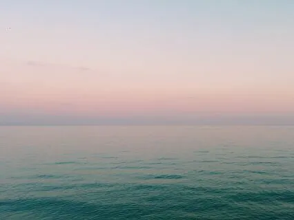 Daily Somatic Tracking For Chronic Pain