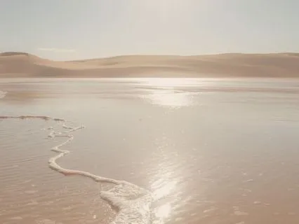 Daily Stillness For Balance And Focus