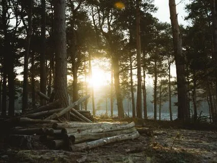 Daily Stoic Morning Meditation to Fortify Your Mind