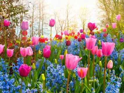 Daily Tuning Forks With All 9 Solfeggio Frequencies + 432 Hz