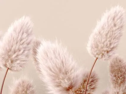 Daily Whisper For Healing