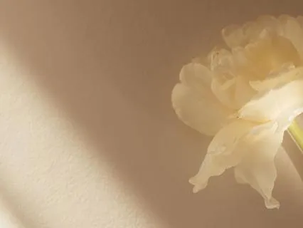 Daily Whisper For Letting Go