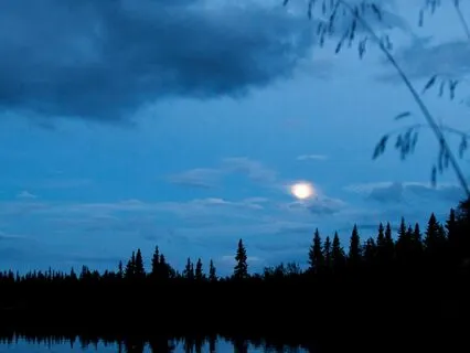 Daily Yoga Nidra For Better Rest