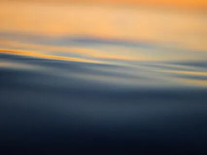 Daily Zazen: Counting The Breath (10 Min)