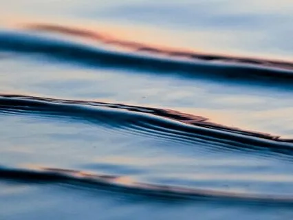 Daily Zazen: Counting The Breath (20 Min)