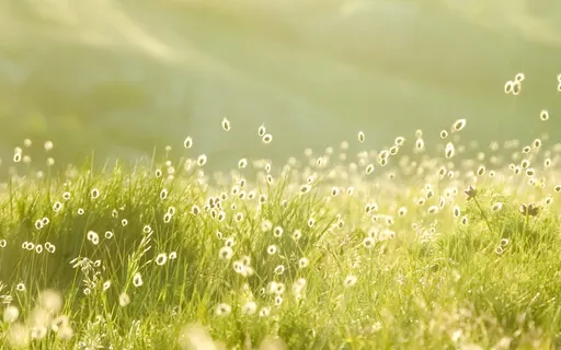 Dance Of Life (3-Hour Version)