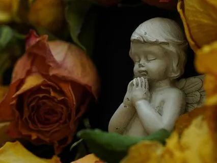 Dance Of The Soul: Gamma Wave Energy Fields