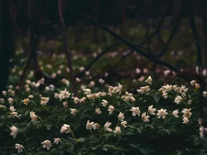 Dance With Your Darkness