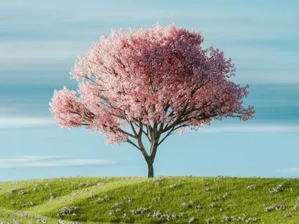 Dancing Between Worlds (Music For Focus And Relaxation)