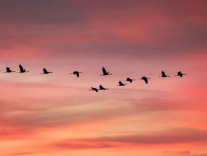 Dancing In The Ethers