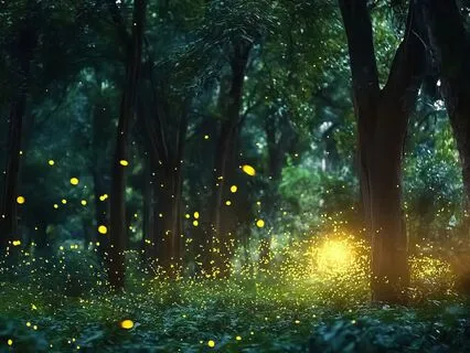 Dancing Lights In The Forest - A musical Experience
