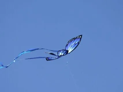 Dancing With Butterflies: Light And Strong