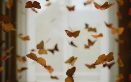 Dancing With Butterflies ( Piano )