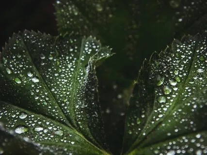 Dancing With Dragons - Working With Difficult Emotions