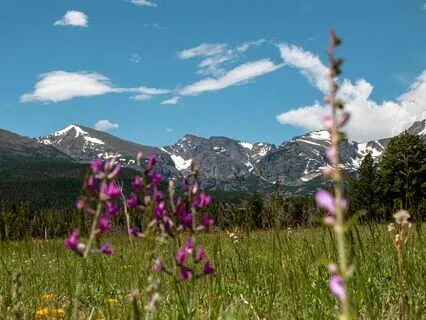 Calm & Confident – With Chimes