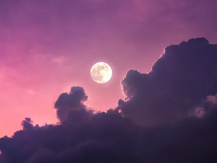 Dandelion Nidra For A Clearer Headspace