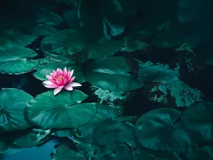 Dantian Breathing With Chant