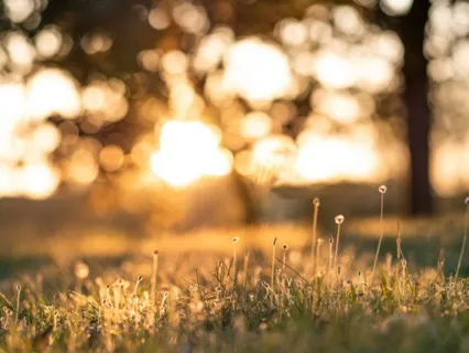 Dare To Feel Celebratory