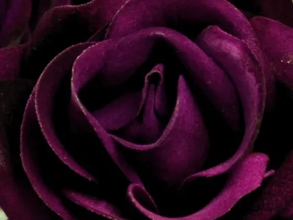 Dark Feminine Energy Healing - With 432 Hz + 221.23 Hz