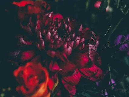 Dark Feminine Meditation