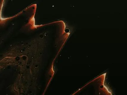 Dark Moon, Heart Realms