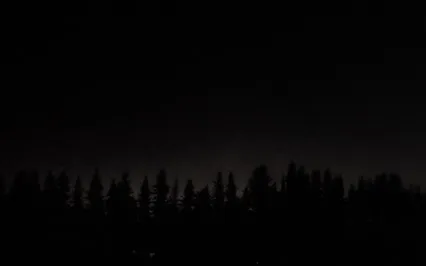 Dark Moon Journey To The Forest