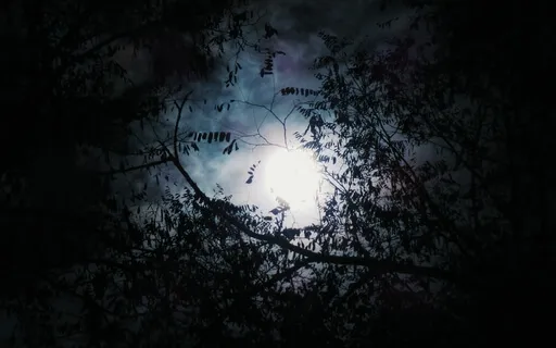 Dark Moon Meditation