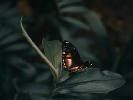 Dark Night Of The Soul Meditation