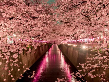 Dark Room Meditation