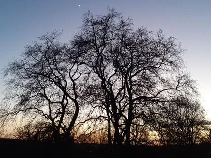 Darkness Says: Winter Solstice Poem