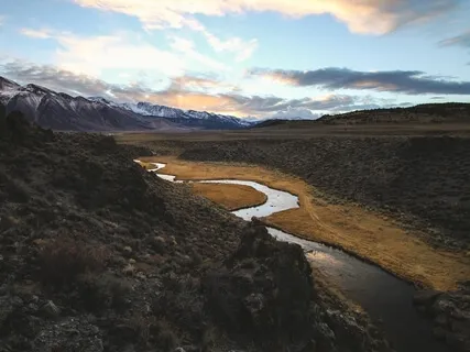 Darshan, Pranayam & Nidra