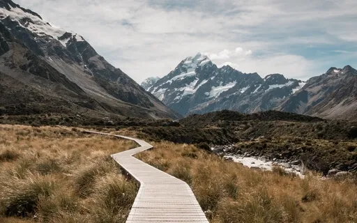 David W. Donner - 111