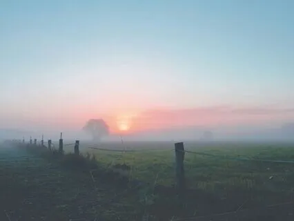 Dawn: 432Hz Binaural Serenity - Calming Relaxation