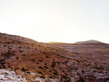 Dawn At The Vale Of Avalon