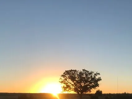 Dawn (Darkness Becomes Light)