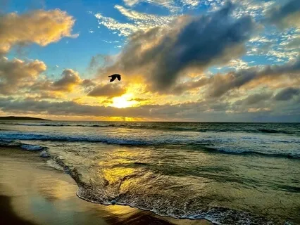 Dawn Flute Meditation