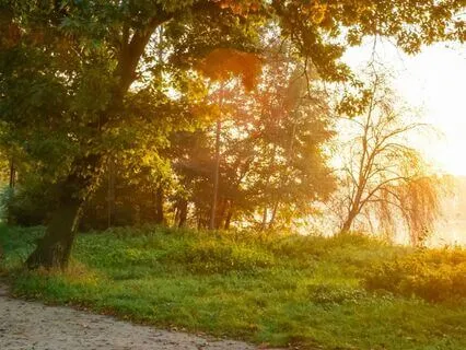 Dawn's Early Stillness