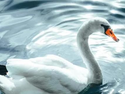 Soothing White Noise For Study - Relaxing - Deep Sleep
