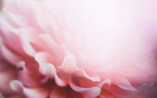 Day 1 - 5 Day Meditation Challenge