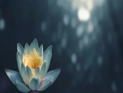 Day 1: Becoming Present