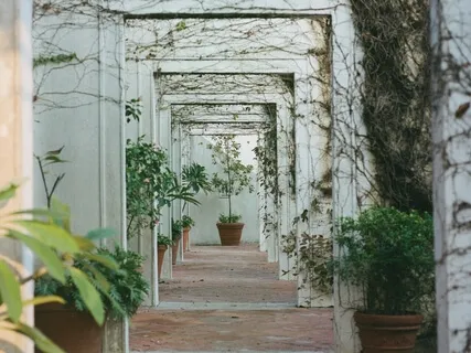 Day 1  How To Meditate For Life Success / 4 Limiting Beliefs Holding You Back From Starting A Meditation Practice /  My Personal Journey 