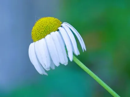 Day 1 ~ Journey Out Of Depression