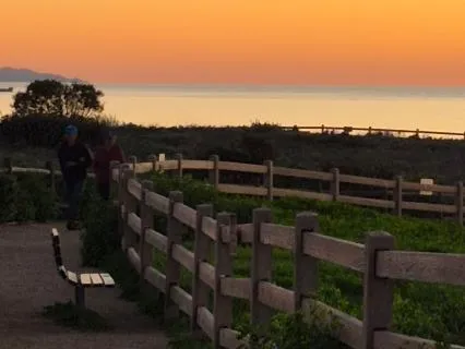 Day 1- Mediation- Take The Path To Your Heart