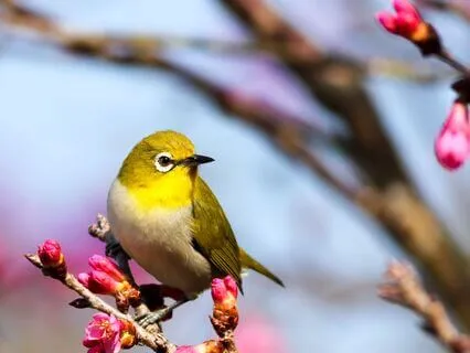 Day 1 Morning Meditation - Nexting