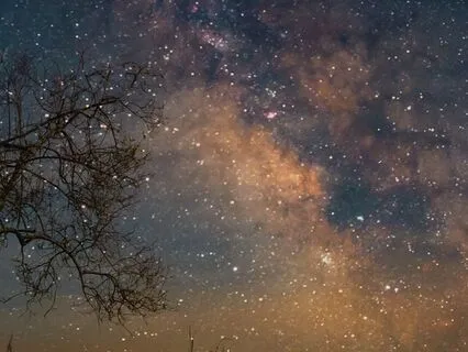 Fall Alseep In Gratitude