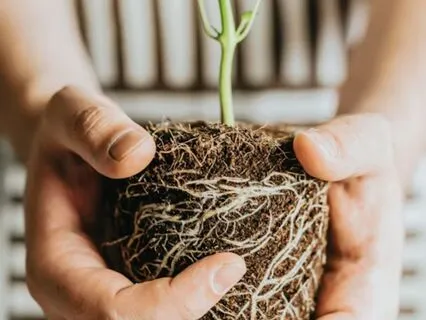 Day 1 · Release Anxiety Gently: Ground Yourself