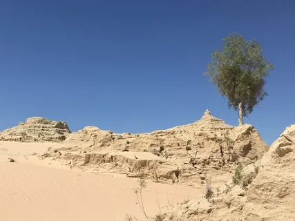 Day 1 - Starting To Learn To Meditate