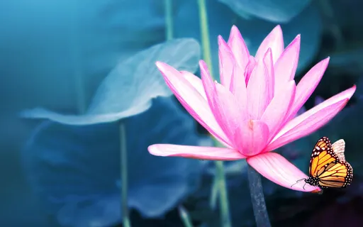 Day 1:  The Beginning