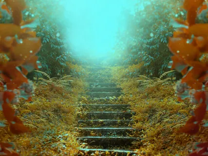 Day 1 | Yoga Sutras Philosophy + Meditation