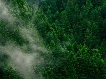 Day 10 Eco Challenge: Where Are You Now?